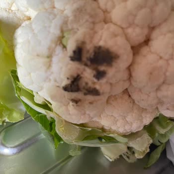 Çürük Ürünler Ve İade Sorunu: Carrefour'dan Hayal Kırıklığı