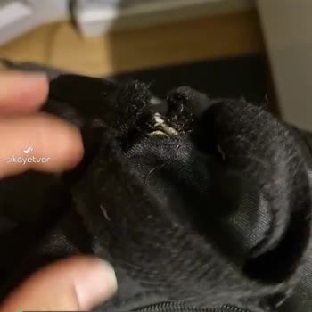 Shule Bags Cevizli -Kartal Şubesi Sırt Çantası Kalitesizliği!