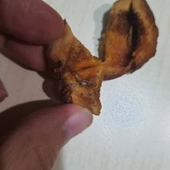 Kurtlu Kayısı Ve Olumsuz Müşteri Hizmetleri Deneyimi