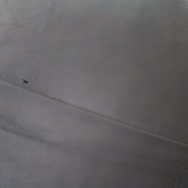 Reeder S71 Cihaz Ve Kulaklıkta Yaşanan Sorunlar