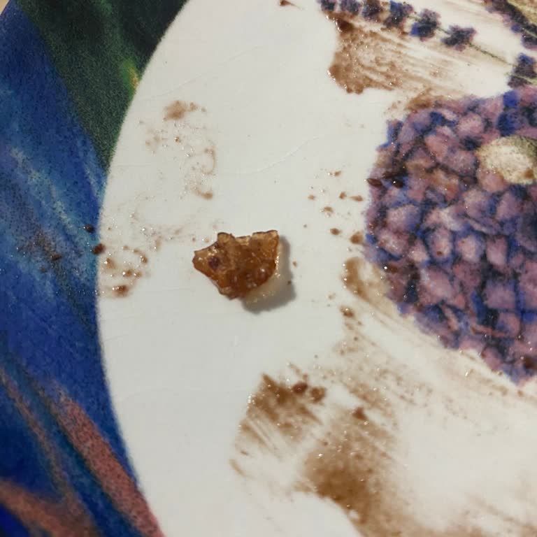 Pastadan Çıkan Yabancı Madde Hijyen Endişesi Yarattı