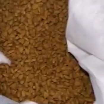 Nestle Purina Petcare Kurtlu Kedi Maması!