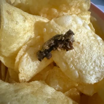 Cips Paketinden Yabancı Madde Çıkması Ve Tekrarlayan Sorun