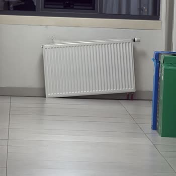Yurt Yönetiminin İhmali Sonucu Yaralanma Ve Yetersiz Destek