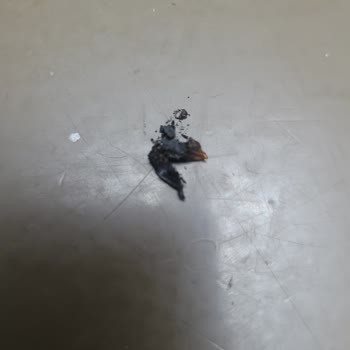 Parliament Agua Blue Slims Sigarasında Güvenlik Sorunu Ve Yetersiz Müşteri Hizmeti