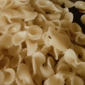 Makarnada Böcek Çıkması Aile Sağlığımızı Riske Attı