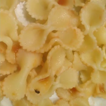 Makarnada Böcek Çıkması Aile Sağlığımızı Riske Attı