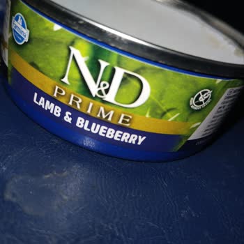 Son Kullanma Tarihi Geçmemiş Mama Bozuk Çıktı Mağdur Oldum