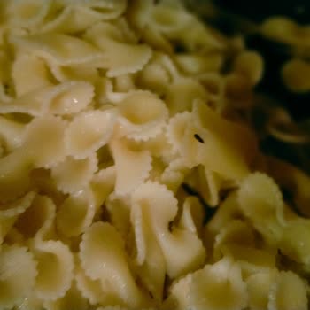 Makarnada Böcek Çıkması Ve Çözüm Sunulmaması Şaşkınlık Yarattı