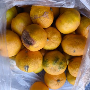 Siparişte Bozuk Ve Yanlış Ürünler, Müşteri Hizmetlerinde Yetersizlik