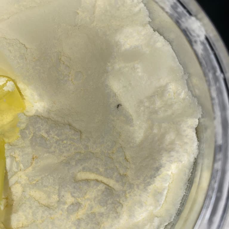 Bebek Sütü Kutusundan Böcek Çıkması Güvenimi Sarstı