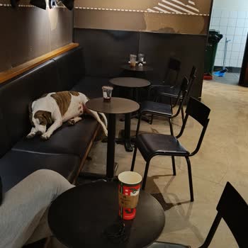 Kafe Ortamında Hijyen Kurallarına Uyulmadı