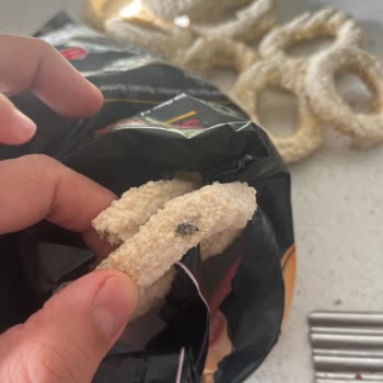 Aldığım Soğan Halkasında Sinek Çıktı Hijyen Endişesi Yaşadım