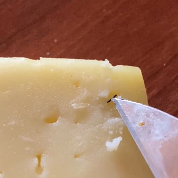 Satın Alınan Tost Peynirinden Kıl Çıkması Ve Hijyen Sorunu