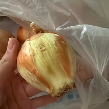 A101 Kapıda Siparişimde Eksik Ve Bozuk Ürünler, Müşteri Hizmetlerinden Yanıt Yok