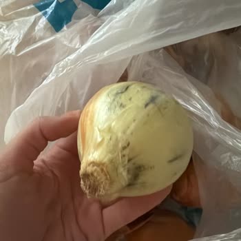 A101 Kapıda Siparişimde Eksik Ve Bozuk Ürünler, Müşteri Hizmetlerinden Yanıt Yok