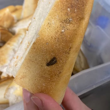 KYK Yurdu Yemeklerinde Sürekli Hijyen Sorunları Ve Yabancı Maddeler