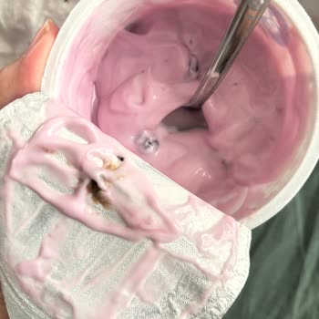 Sek Yaban Mersinli Yoğurtta Farklı Tat Ve Koku, İade Talebim Karşılanmadı