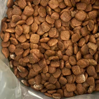 Küflü Mama Ve Müşteri Hizmetlerine Ulaşamama Mağduriyeti