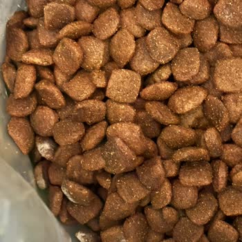 Küflü Mama Ve Müşteri Hizmetlerine Ulaşamama Mağduriyeti