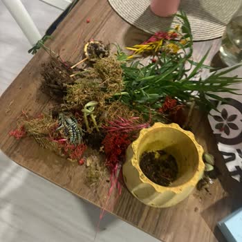 Kargoda Zarar Gören Çiçek Siparişi Ve Müşteri Hizmetlerinden Destek Alamama