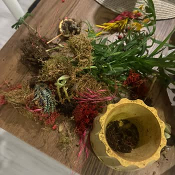 Kargoda Zarar Gören Çiçek Siparişi Ve Müşteri Hizmetlerinden Destek Alamama