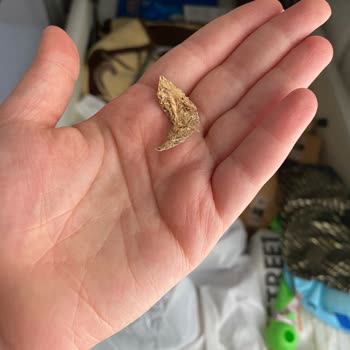 Luna Baza'da Kusurlu Parçalar Ve Garanti Kapsamında Destek Sorunu