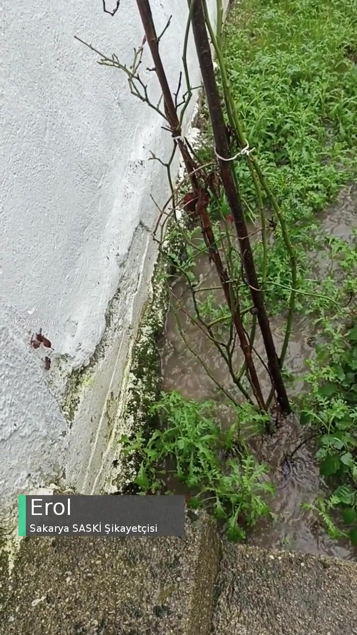 Sakarya Saski Kanalizasyon Atıkları Yaşam Alanımıza Bu Şekilde Sızıyor videonun kapak resmi