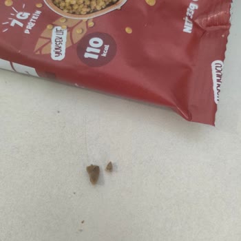 Nutruit Kavrulmuş Mercimekten Taş Çıktı