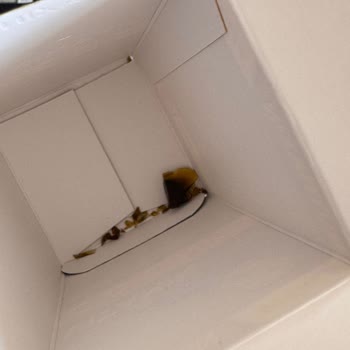 Kırık Gelen C Vitamini Şişesi İçin Değişim Veya İade Talebi