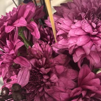 Çiçek Siparişim Kırık Ve Çürük Olarak Teslim Edildi