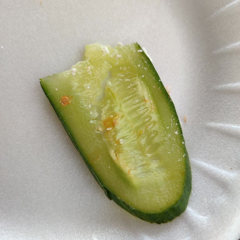 Bayat Sandviç Ve Kalitesiz Ürünler Hayal Kırıklığı Yarattı