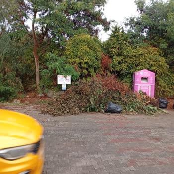 Datça Belediyesi'nden Düzenli Bitkisel Atık Toplama Hizmeti Bekliyoruz