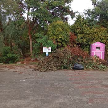 Datça Belediyesi'nden Düzenli Bitkisel Atık Toplama Hizmeti Bekliyoruz