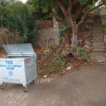 Datça Belediyesi'nden Düzenli Bitkisel Atık Toplama Hizmeti Bekliyoruz