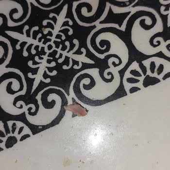 Polonez Piliç Füme Salamda Kemik Parçaları Ve Diş Sağlığı Sorunu