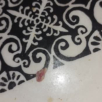 Polonez Piliç Füme Salamda Kemik Parçaları Ve Diş Sağlığı Sorunu