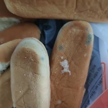 Taze Olması Gereken Tost Ekmeği Küflü Çıktı, Muhatap Bulamıyorum