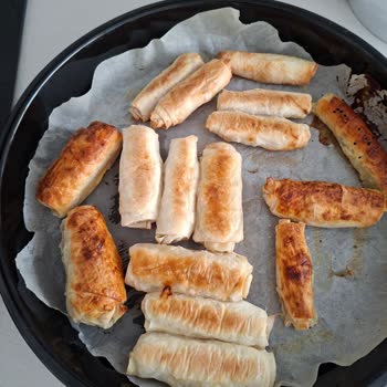 Silverline Ankastre Fırında Alt Pişirme Sorunu Ve Yetersiz Servis Desteği