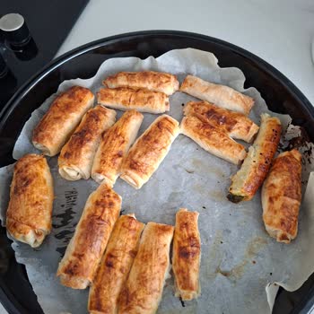 Silverline Ankastre Fırında Alt Pişirme Sorunu Ve Yetersiz Servis Desteği