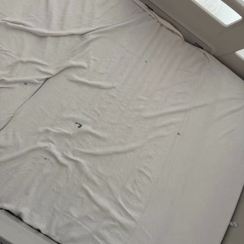 Hastanede Hijyen Eksikliği Ve Tahta Kurusu Endişesi