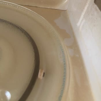 Garanti Kapsamındaki Mikrodalga Fırında Sararma Ve Koku Sorunu, Ücretli İç Değişim Talebi