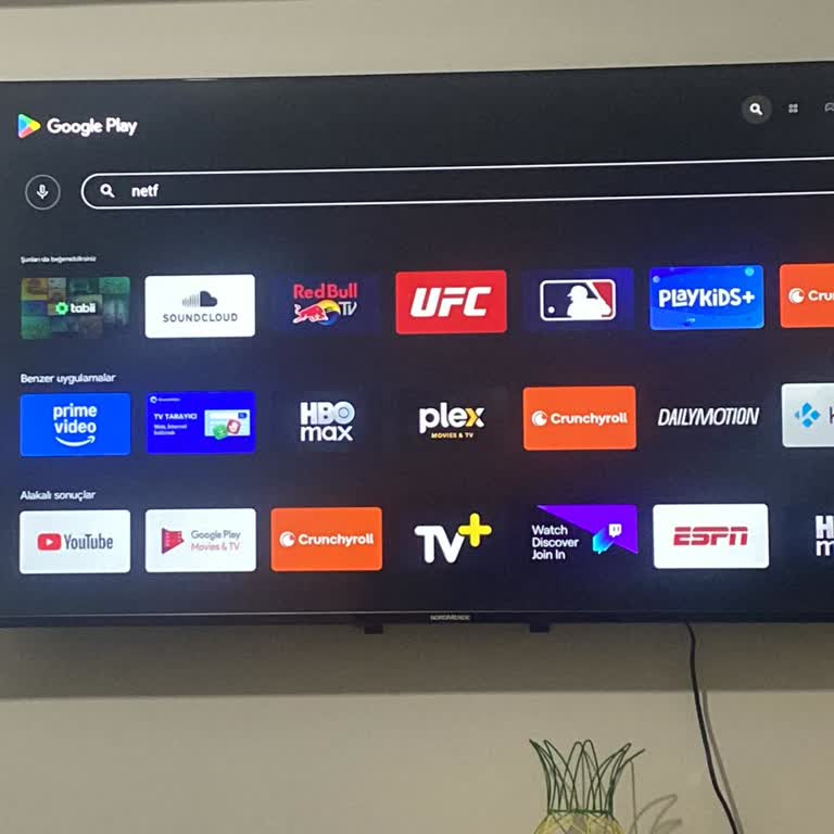 Skytech Sıfır Televizyonumda Netflix Ve Uygulama Sorunları Çözülmüyor