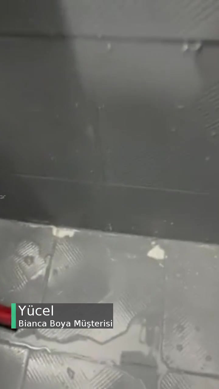 Bianca Boya Dayanıklı Boya Dediniz Değilmiş! videonun kapak resmi