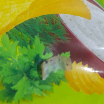 Cips Paketinden Çıkan İnsan Tırnağı Ailece Yaşadığımız Hijyen Skandalı