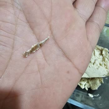 A101’den Aldığım Ürünlerde Yabancı Madde Ve İlgisiz Müşteri Hizmetleri