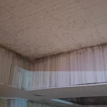 Mox Hotel Wellness & SPA'da Yaşadığım Olumsuzluklar!