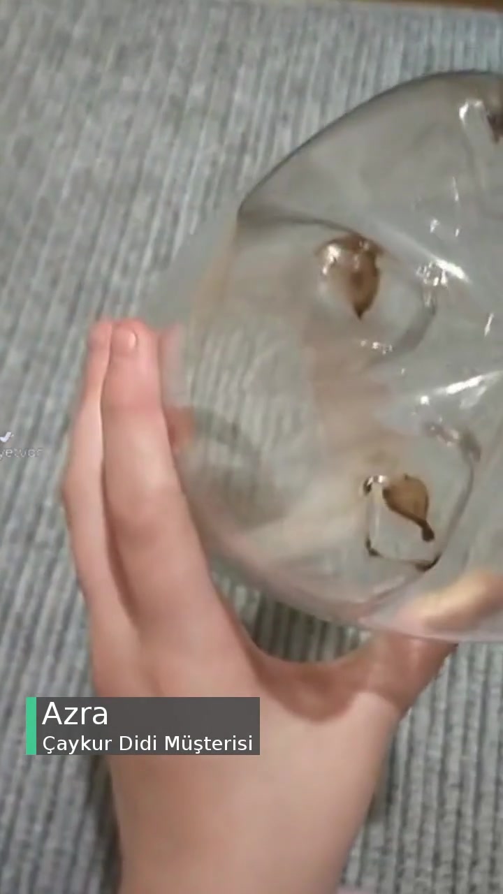 Çaykur Didi Soğuk Çay Hem Acı Hem De Değişik Bir Şey Var videonun kapak resmi