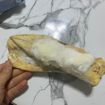 BİM Şubesinde Son Kullanma Tarihi Sorunu Ve Bozulmuş Ürünler Hakkında Şikayet