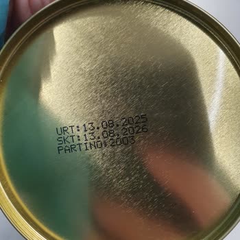 File Market Aldığım Çikolatanın İçinden Kurt Çıktı